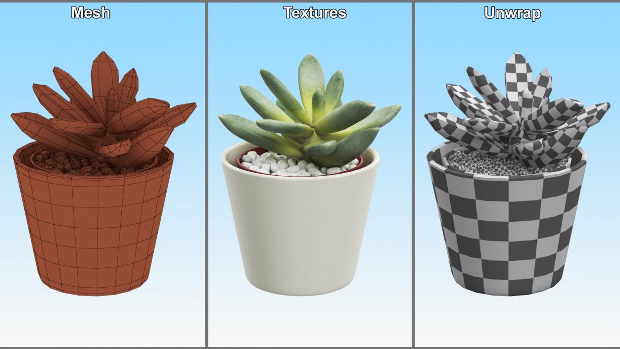 3D model Decorative Indoor Plants Collection