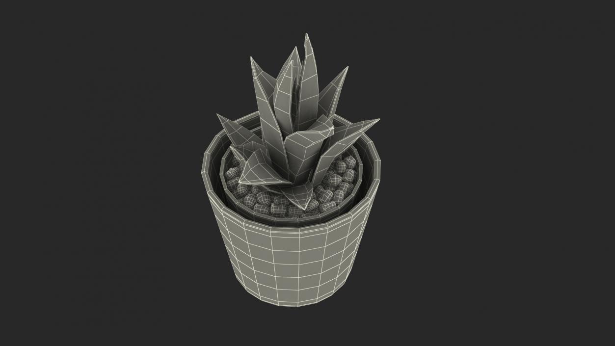 3D model Decorative Indoor Plants Collection