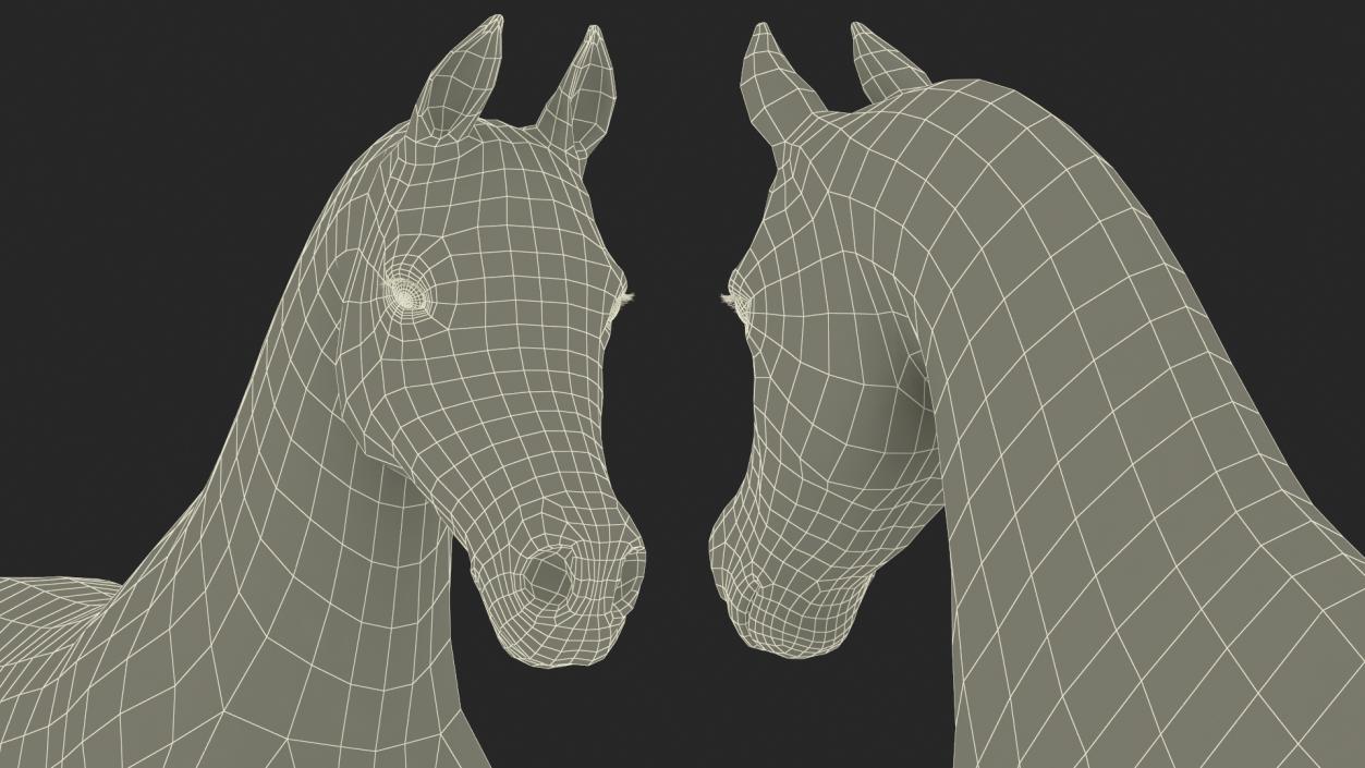 3D Walking Arabian Horse Gray Dappled Fur model