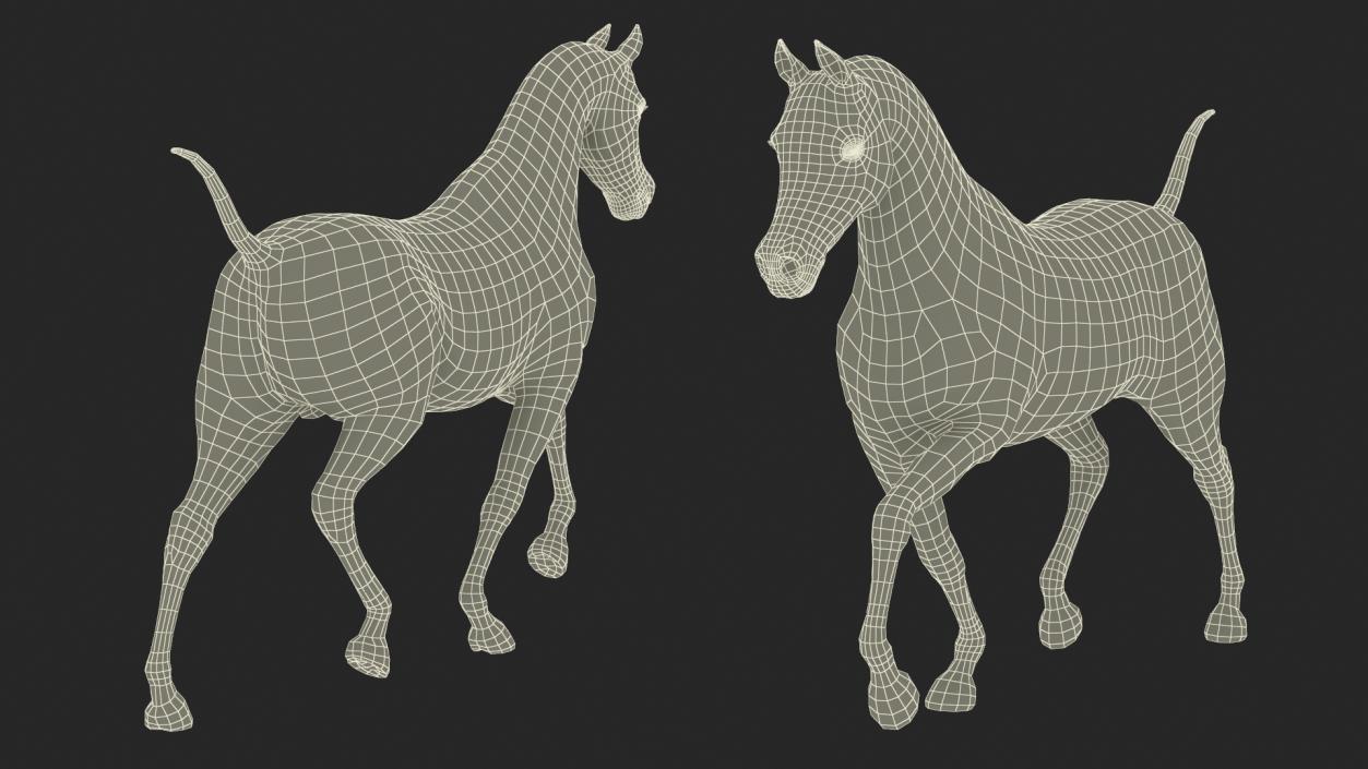 3D Walking Arabian Horse Gray Dappled Fur model