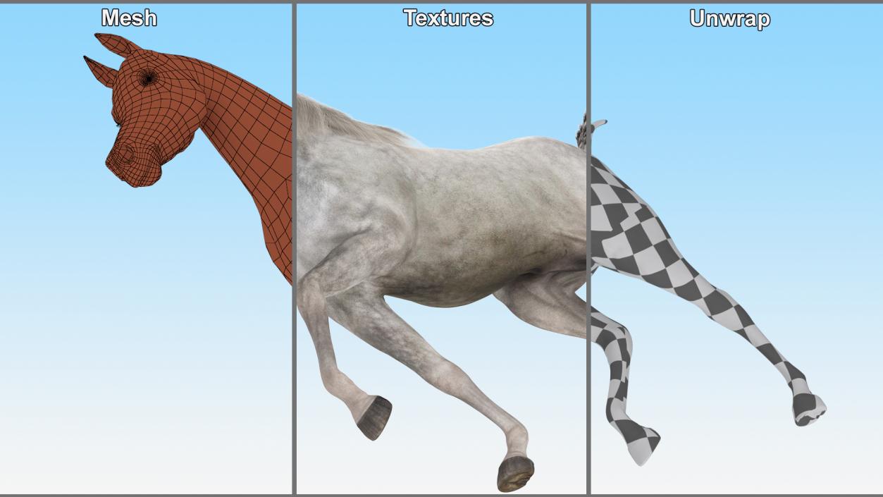 3D Walking Arabian Horse Gray Dappled Fur model