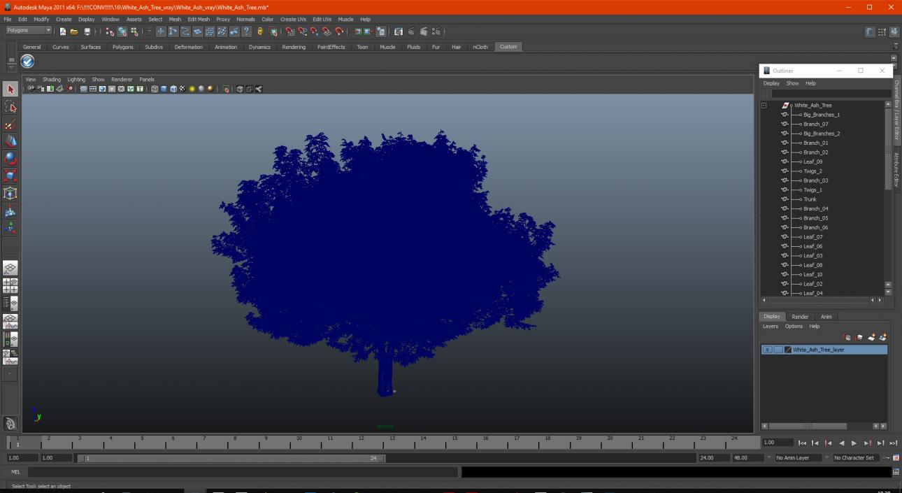 White Ash Tree 3D model