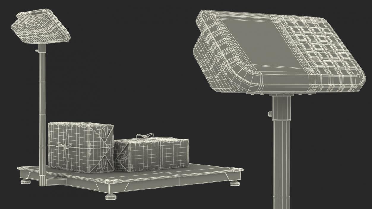 3D Warehouse Scale with Post Package model