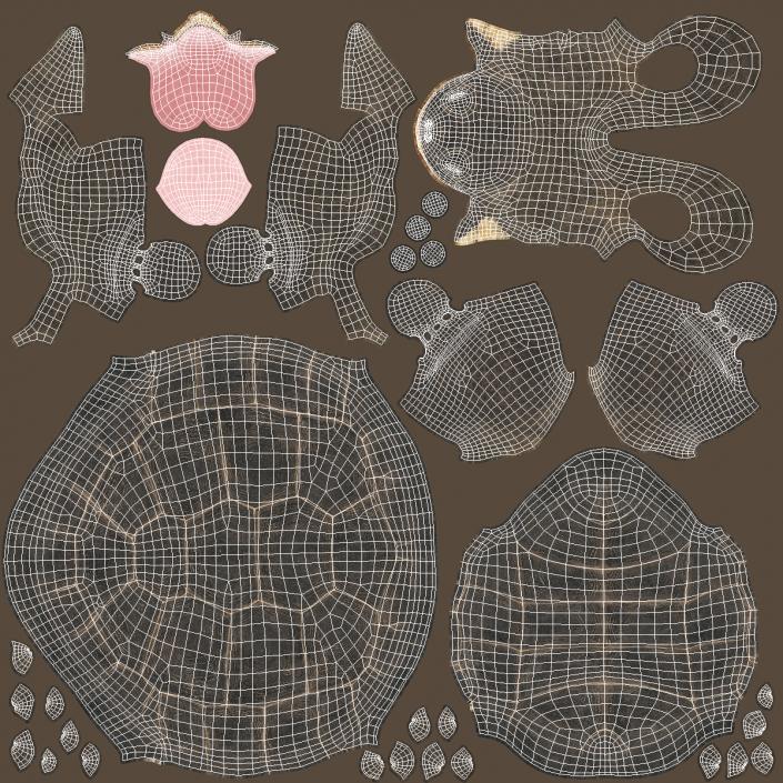 3D model Turtles Collection 4