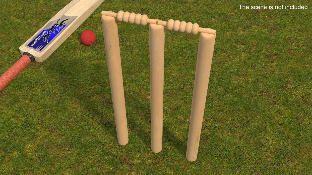 3D Wooden Cricket Stumps