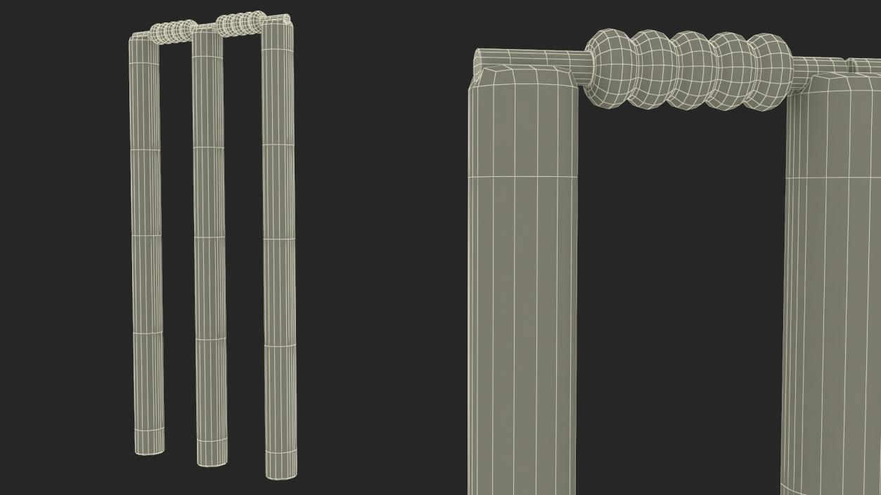 3D Wooden Cricket Stumps