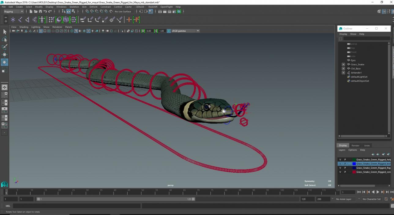 3D model Grass Snake Green Rigged for Maya 2