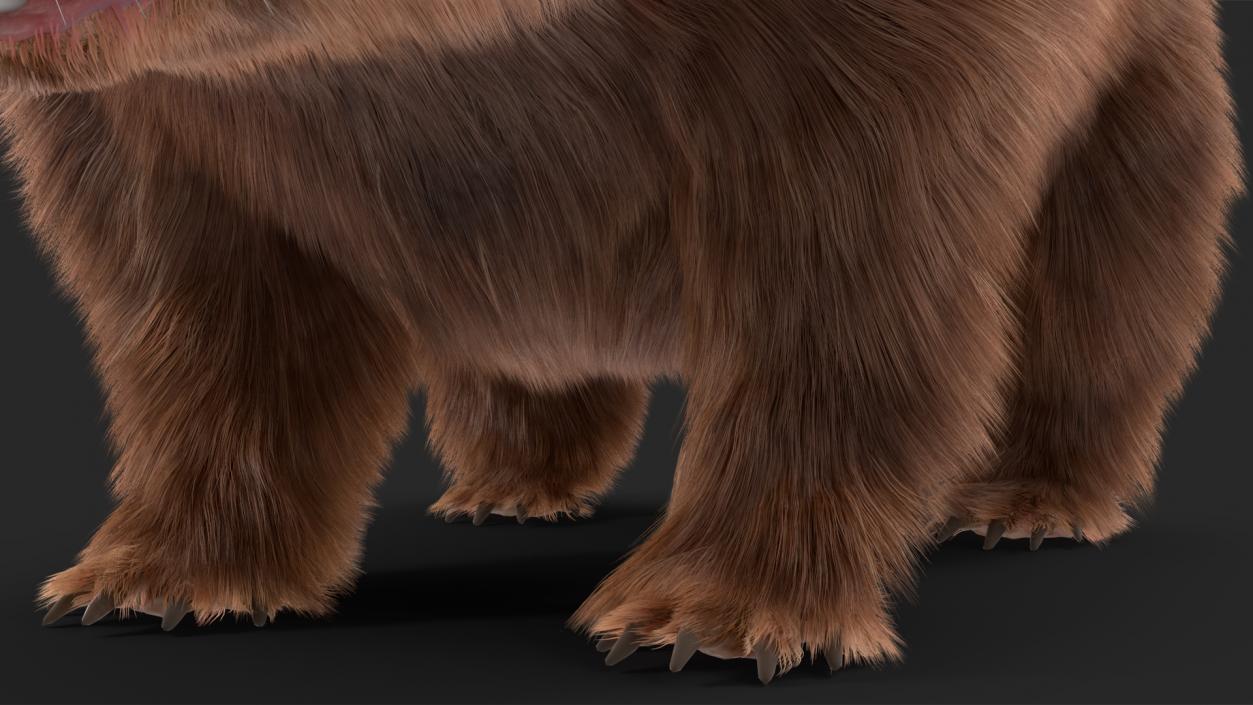 3D Brown Wombat Fur Rigged model