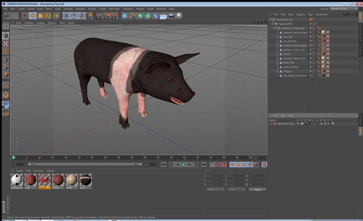 3D model Hampshire Pig Piglet