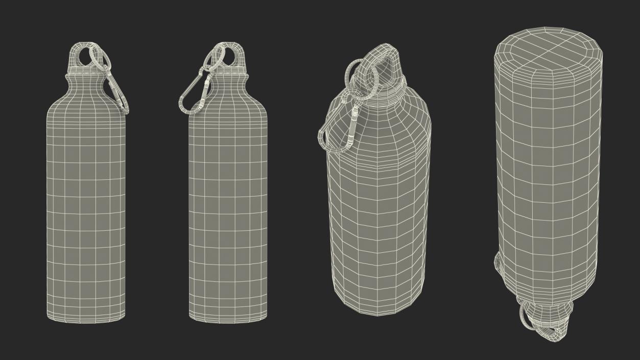 3D model Red Aluminum Water Bottle with Carabiner