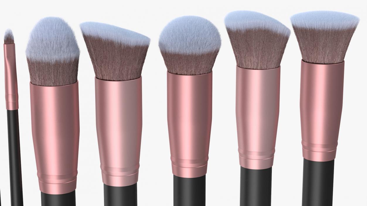 3D model Professional Makeup Brushes Set Fur