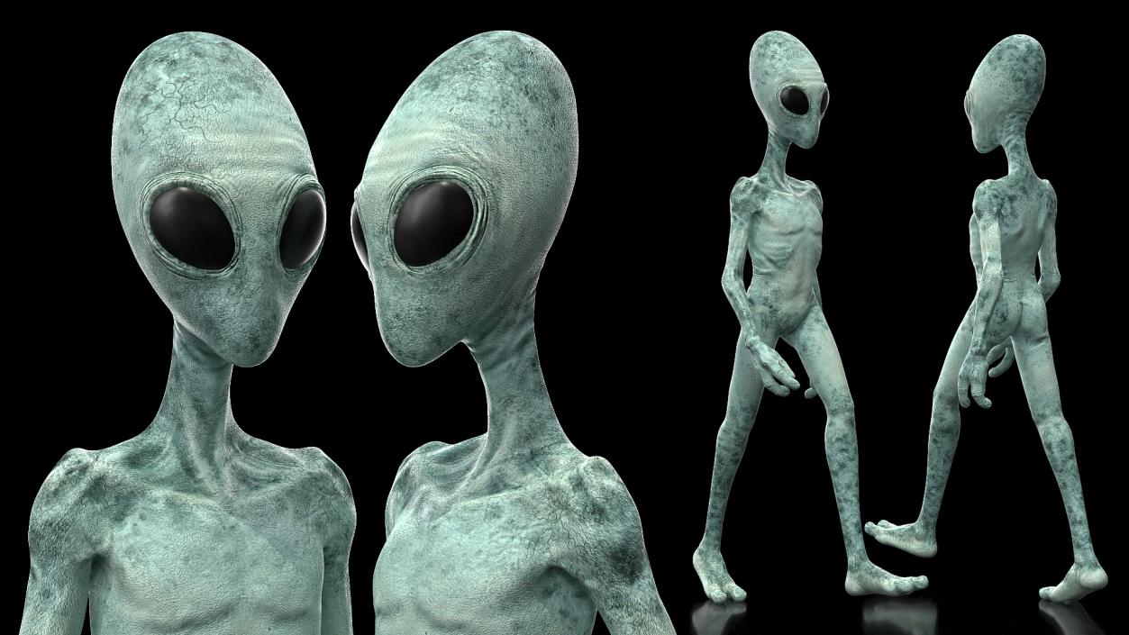 3D model Extraterrestrial Alien Walking Pose