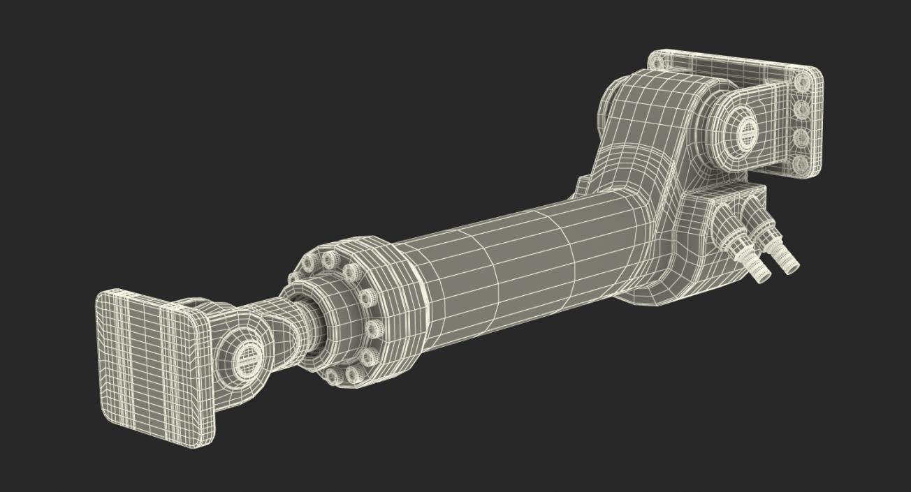 Anodized Hydraulic Cylinder 3D