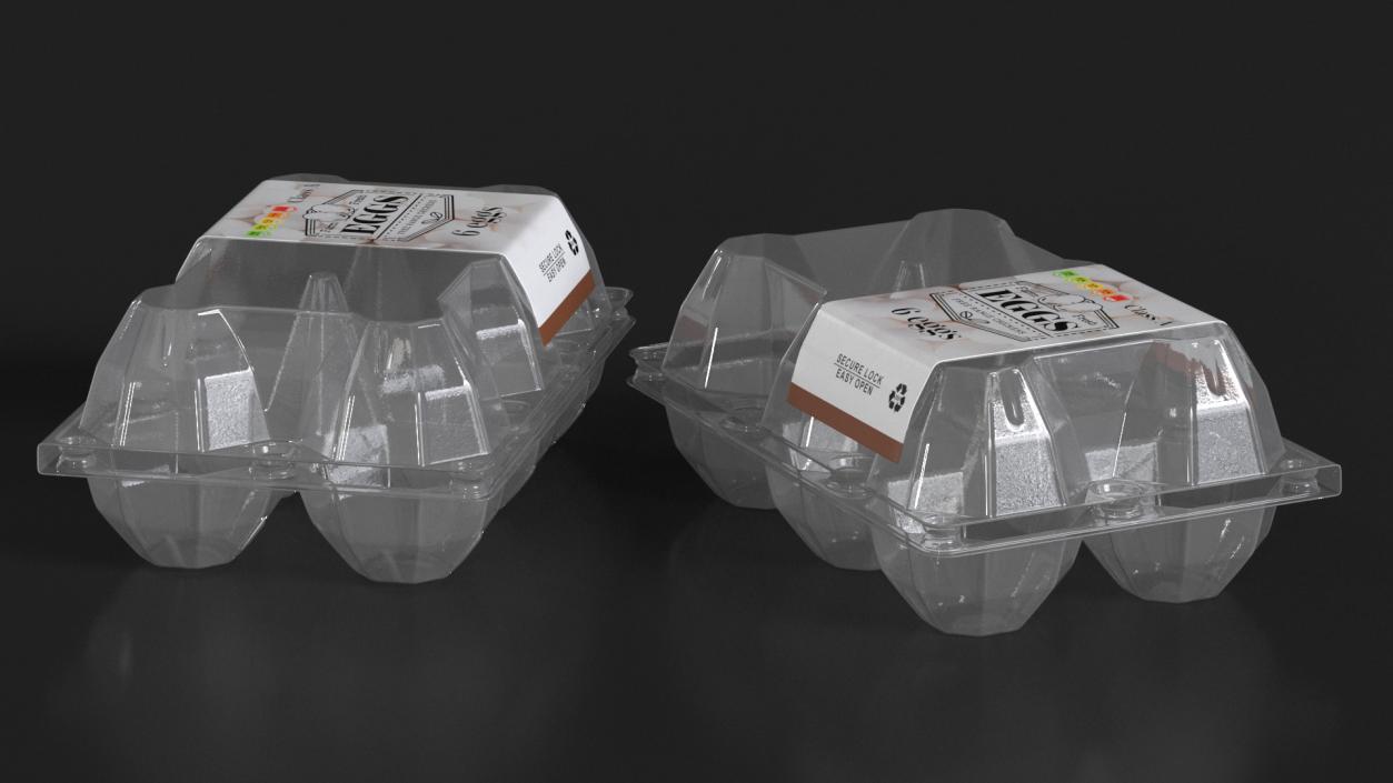 Empty Plastic Packaging for Six Chicken Eggs 3D model