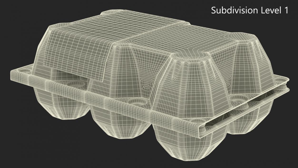 Empty Plastic Packaging for Six Chicken Eggs 3D model