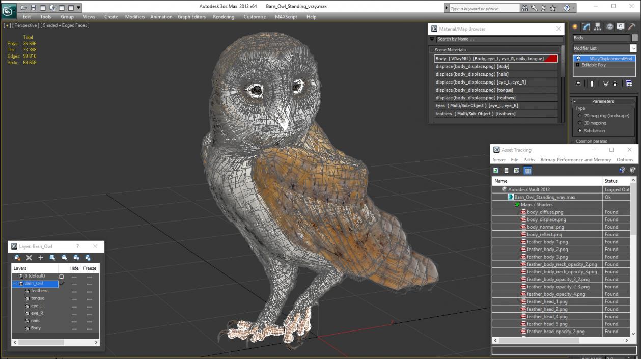 Barn Owl Standing 3D