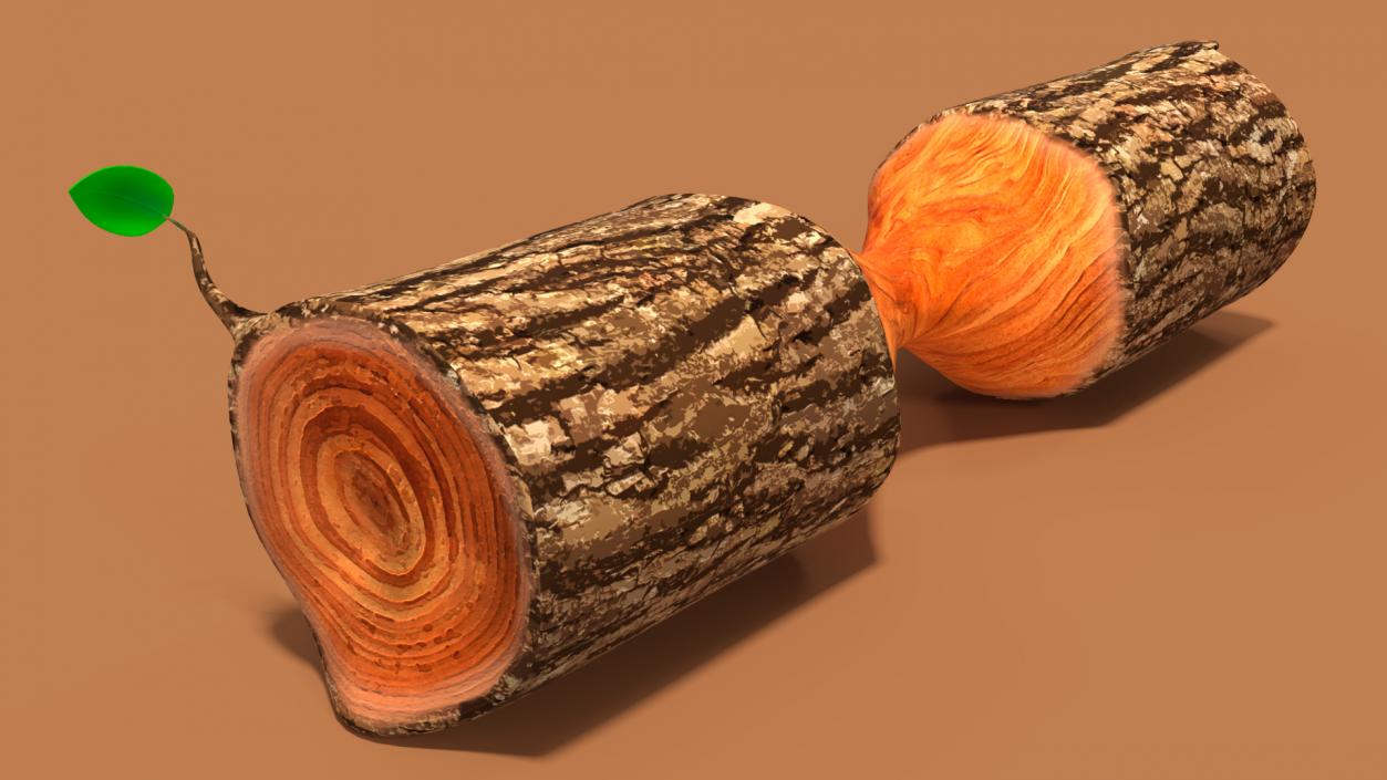 3D Cartoon Gnawed Log model