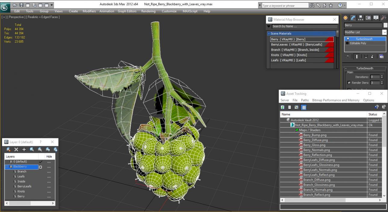 3D model Unripe Green Blackberry with Leaves