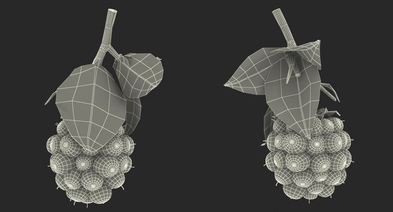 3D model Unripe Green Blackberry with Leaves