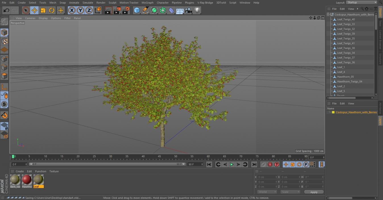 3D model Cockspur Hawthorn with Berries