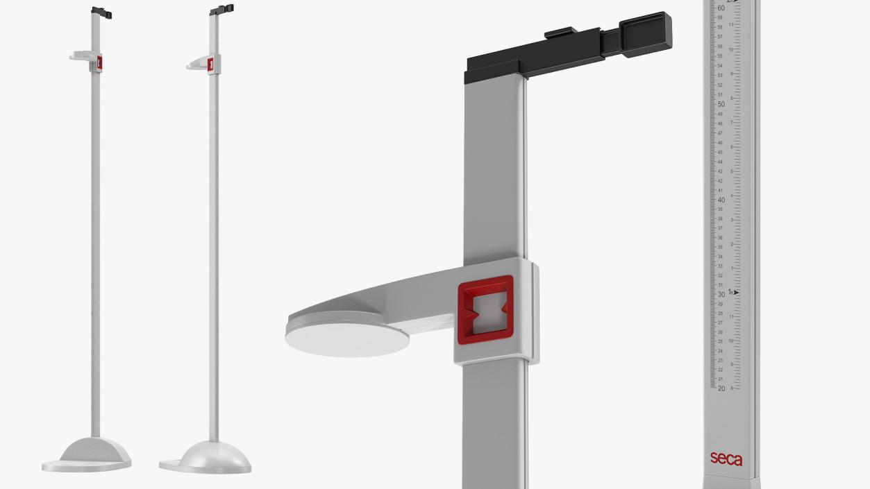 Seca 213 Portable Stadiometer 3D model