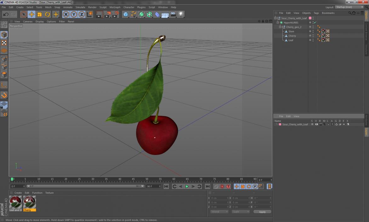 3D Sour Cherry with Leaf