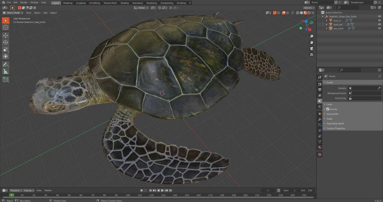 3D Realistic Green Sea Turtle