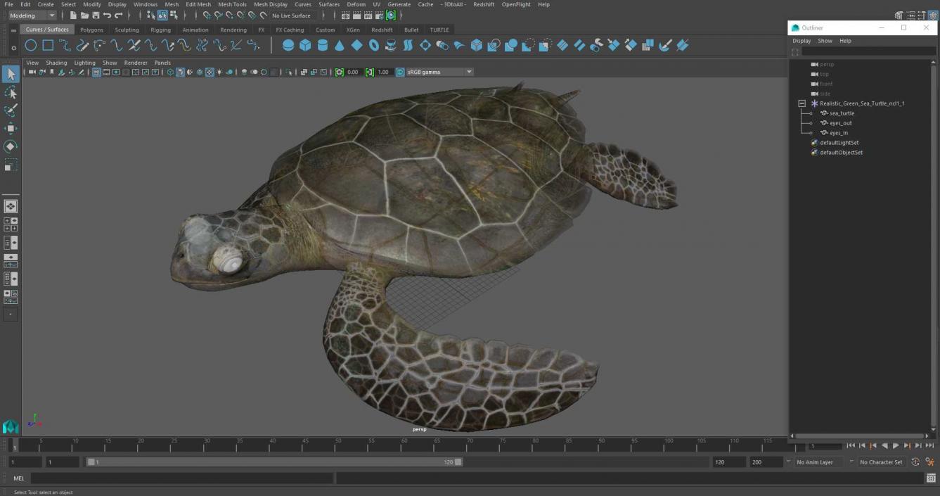 3D Realistic Green Sea Turtle