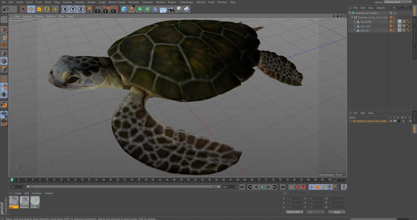 3D Realistic Green Sea Turtle