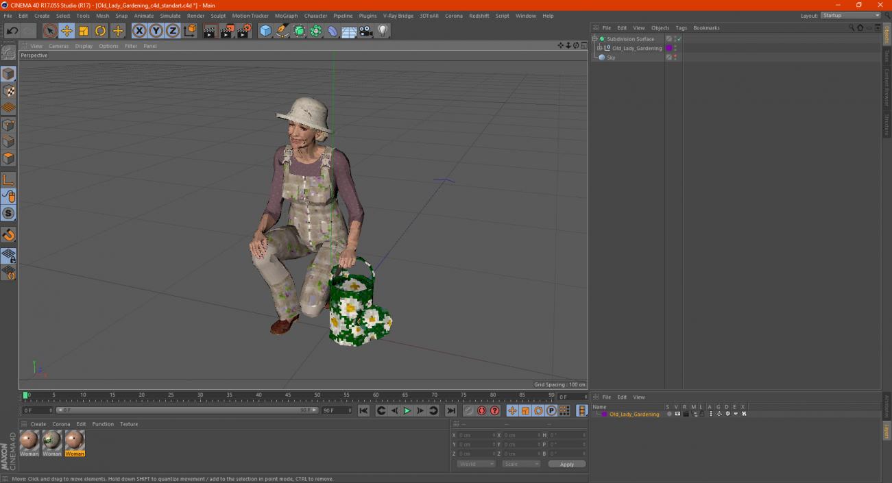 3D Old Lady Gardening model