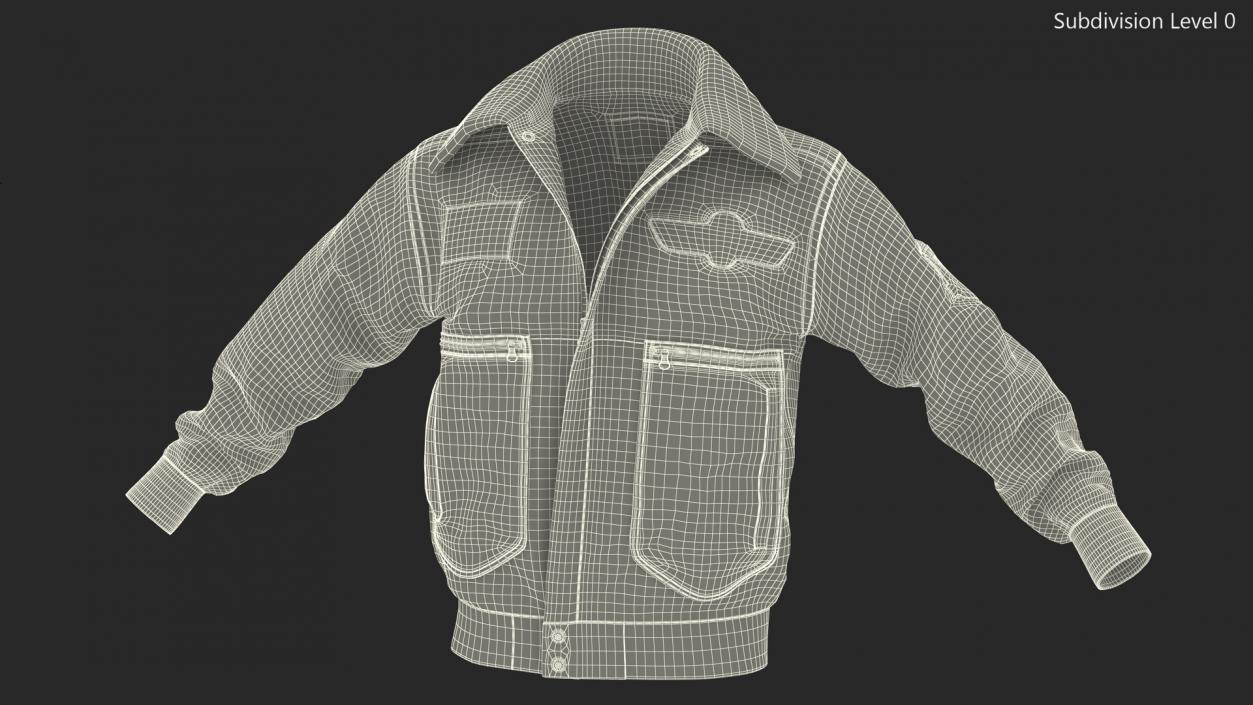 Flight Aviator Leather Jacket Brown Fur 3D model