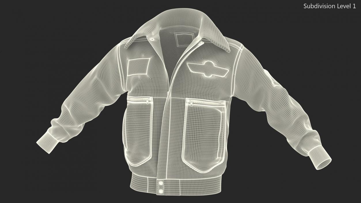 Flight Aviator Leather Jacket Brown Fur 3D model