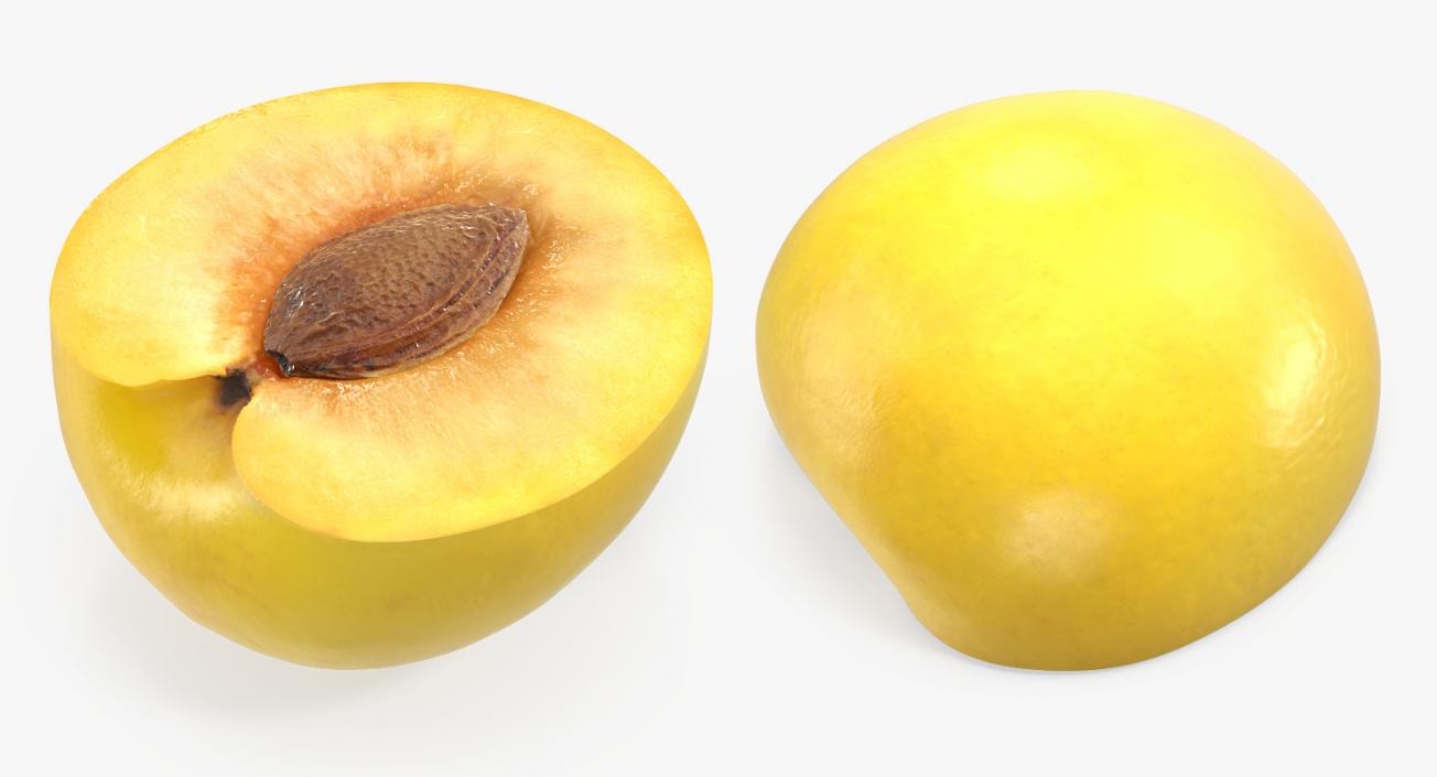 3D model Half Wet Yellow Plum With Seed