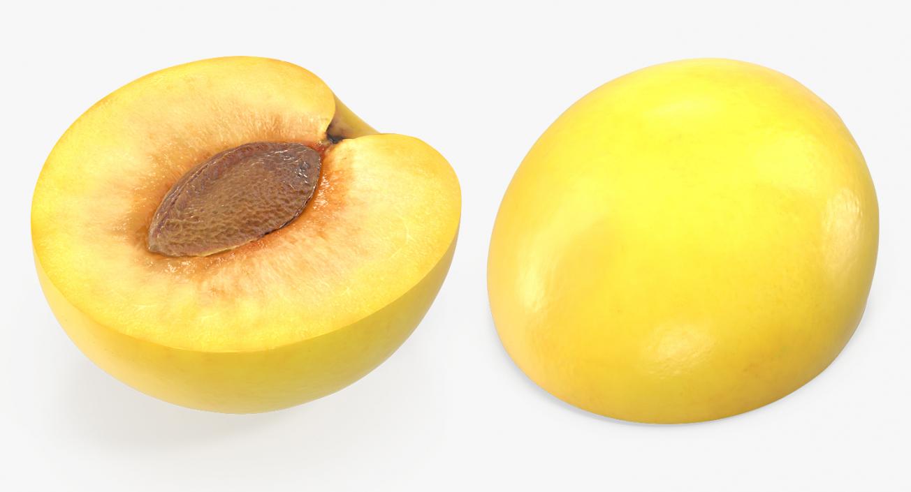 3D model Half Wet Yellow Plum With Seed