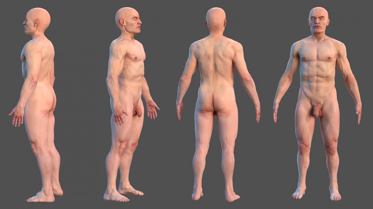 Male Skeleton Lymphatic System and Skin 3D model