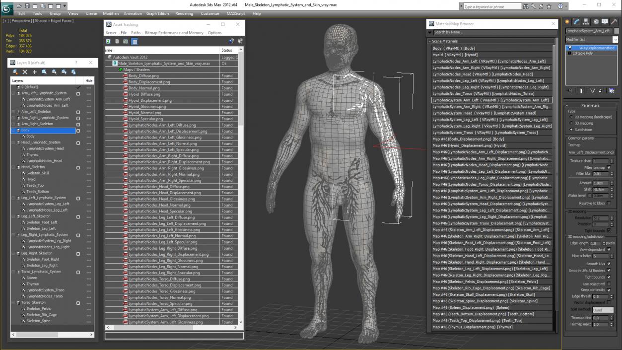 Male Skeleton Lymphatic System and Skin 3D model