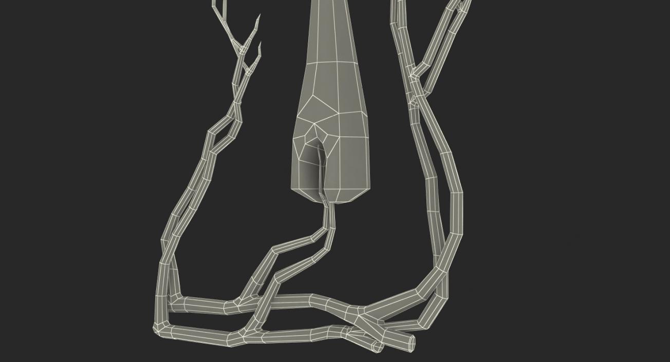 3D Structure of Human Hair model