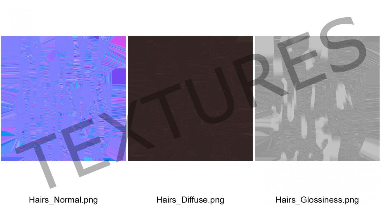 3D Structure of Human Hair model