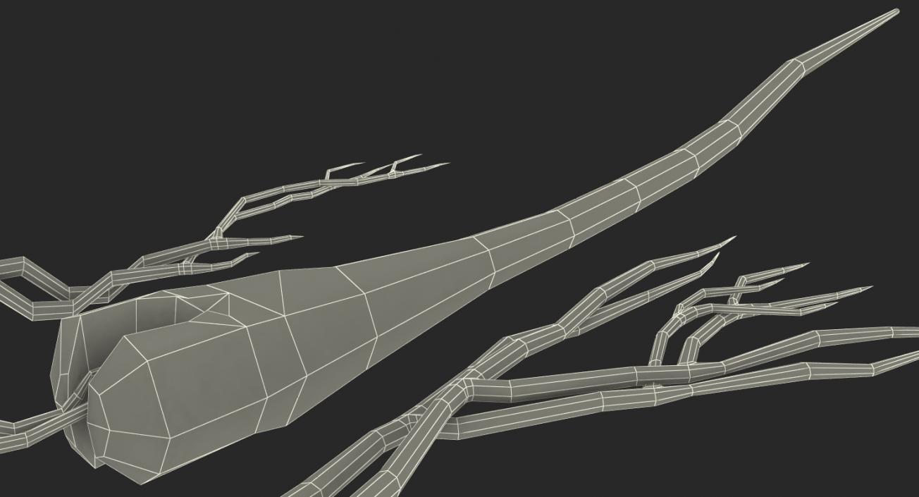 3D Structure of Human Hair model