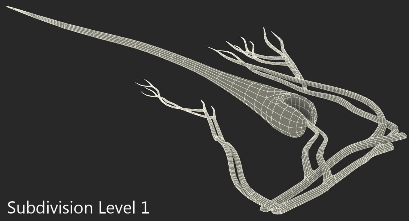 3D Structure of Human Hair model