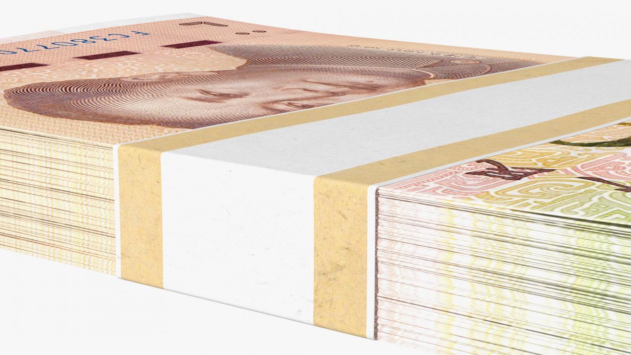 3D Pack of Chinese 20 Yuan 2019 Banknotes model