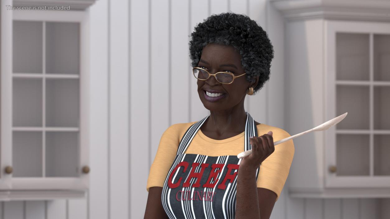 Kitchen Style Afro American Grandma Standing 3D model