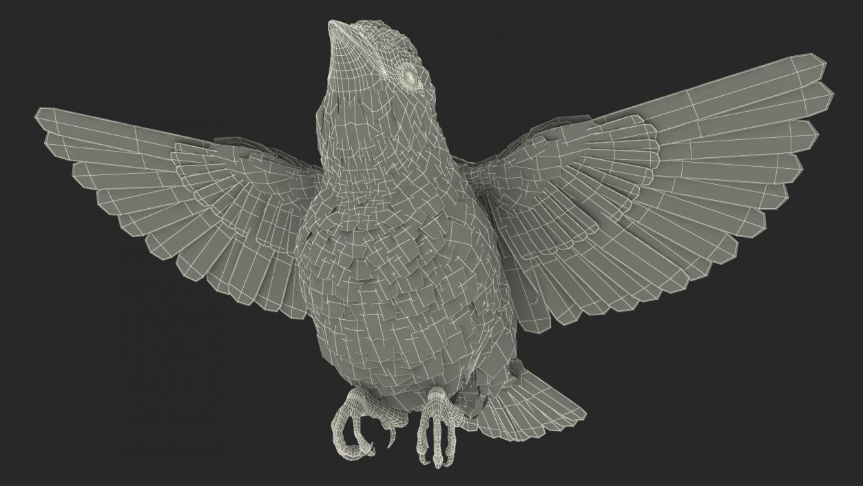 House Sparrow Rigged 2 3D