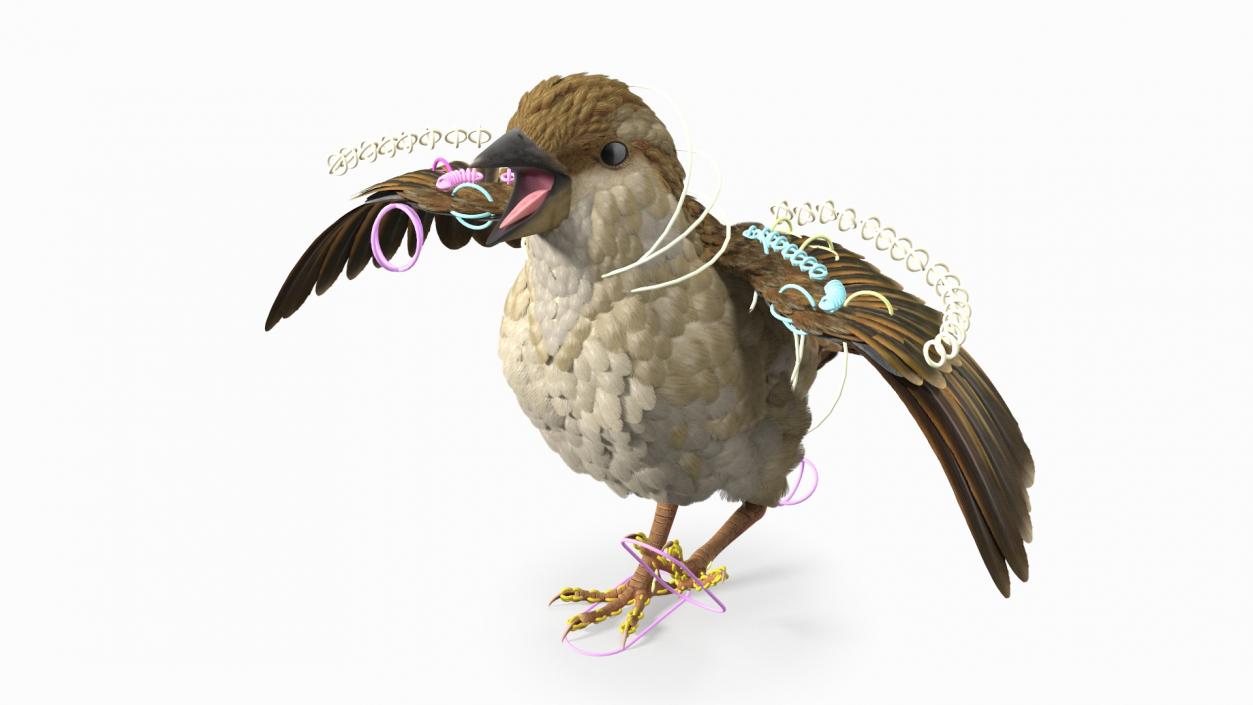 House Sparrow Rigged 2 3D