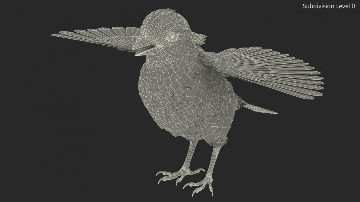 House Sparrow Rigged 2 3D