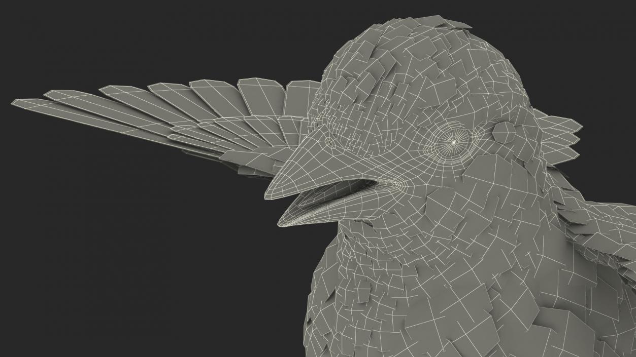 House Sparrow Rigged 2 3D