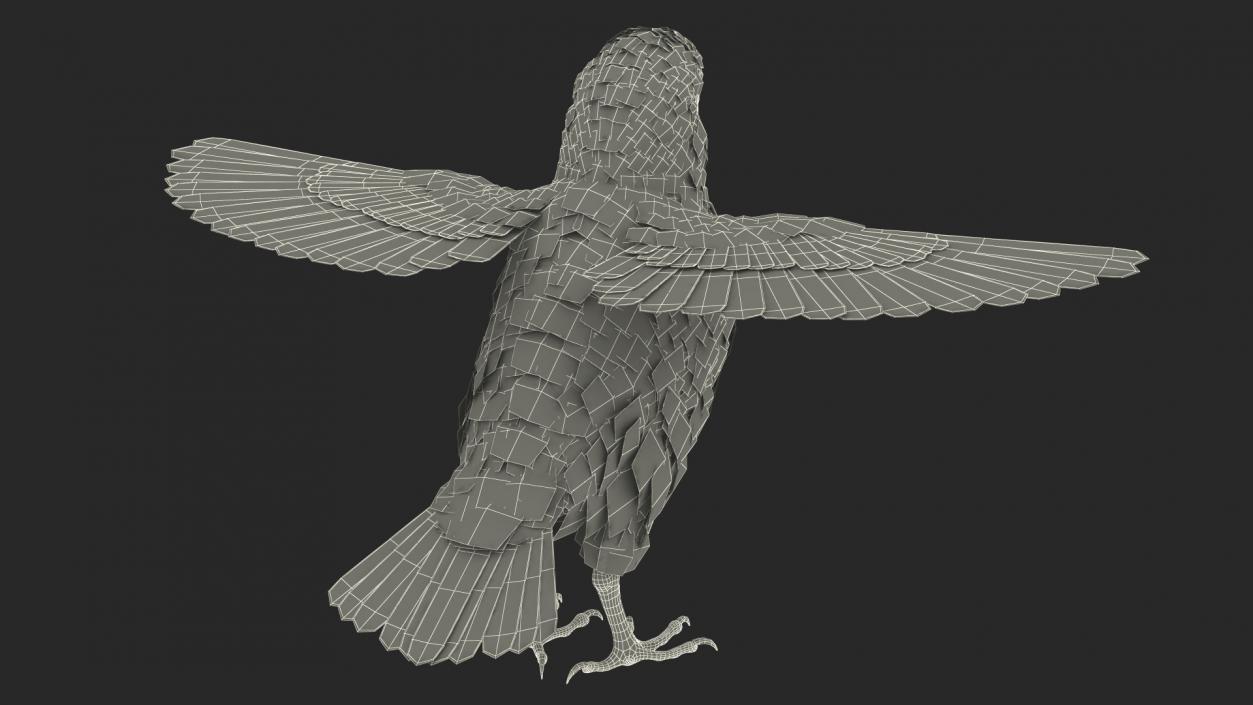 House Sparrow Rigged 2 3D