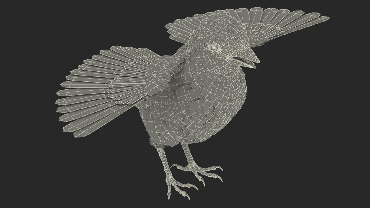 House Sparrow Rigged 2 3D