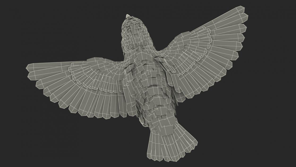 House Sparrow Rigged 2 3D