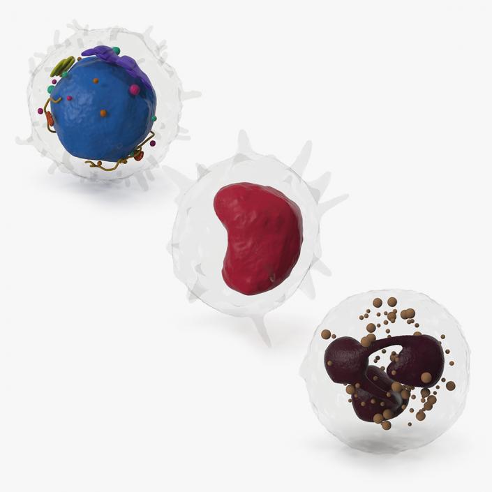 Blood Cells Collection 3D